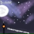 DarReec