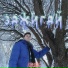 ПАОВЛ