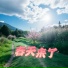 梦萱