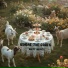 Dirty Hippies