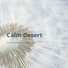 Calm Desert