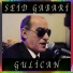 Seid Gabari