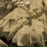 Rovner Forms, Leonid Chizhik
