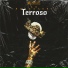 Terroso