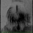 lost damnation