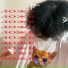 horytale