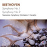 Tasmanian Symphony Orchestra