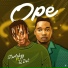Starlekzy feat. Qdot