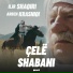 Ilir Shaqiri feat. Arben Krasniqi