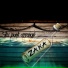 Zaka