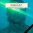 Publicist