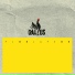 Gallus