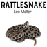 Lee Moller