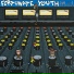 Fortunate Youth