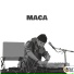 Maca