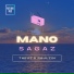 TheuZ, Raulzin