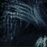 withoutface