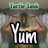 Turtle Tank
