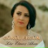 Gönül Ergün