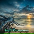 Andi Kurniawan