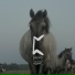 peoro