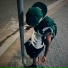NINJ4- - feat. YoungLC