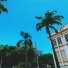 Vlee7