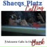 Shacqs Platz