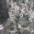 endlesswway