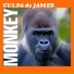 Culpa de James