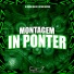 DJ Zefani da DZ7, MC BM OFICIAL