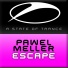Pawel Meller
