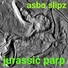 Asbo Slipz
