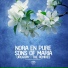 nora en pure & robin shultz
