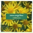 Anna Angelina