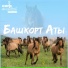 Фларид Биргалин