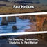 Sea Waves, Ocean Sounds, Nature Sounds
