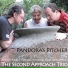 The Second Approach Trio