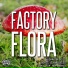 Factory Flora