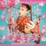 WEDNESDAY CAMPANELLA
