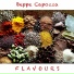 Beppe Capozza
