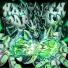 Biodie, DJ BRAVENK, SoulFusi