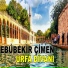 Ebubekir Çimen
