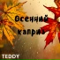 Teddy