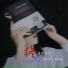 秦文音, 张晚晚