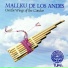 Mallku de los Andes