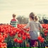 Nursery Rhymes, Study Music, Kinderlieder