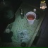 southdani, hard money baby, A$tro 103
