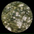 Pixillious