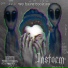 Acotath, Instorm